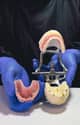 Slider image (10) Smiletec® - Leading Mexicali Dental Clinic